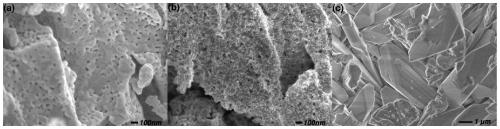 A kind of basic cobalt phosphate nanoneedle composite lton photocatalyst and its preparation method and application