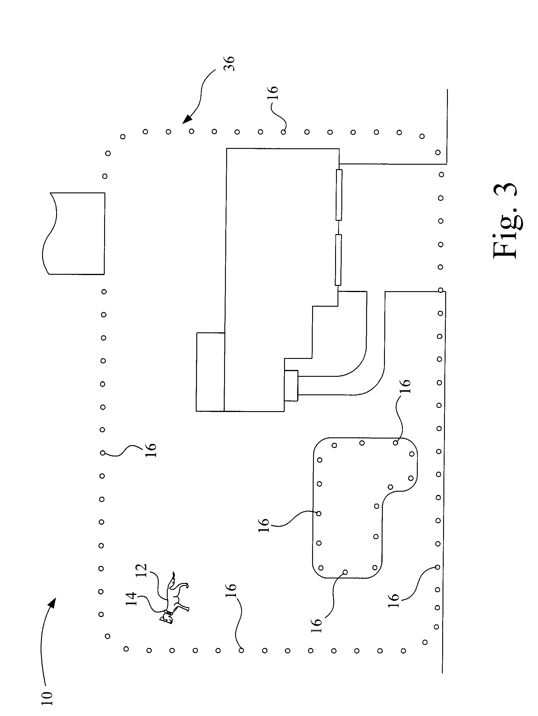 Wireless confinement and training system for an animal