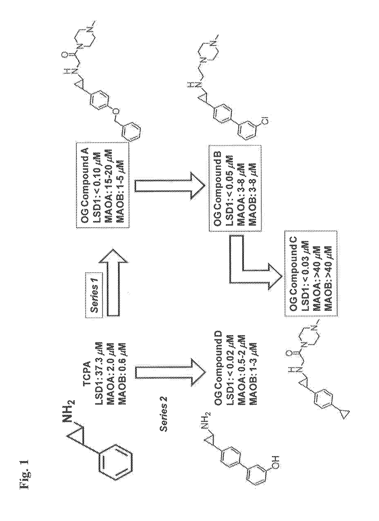 Lysine demethylase inhibitors for myeloproliferative or lymphoproliferative diseases or disorders