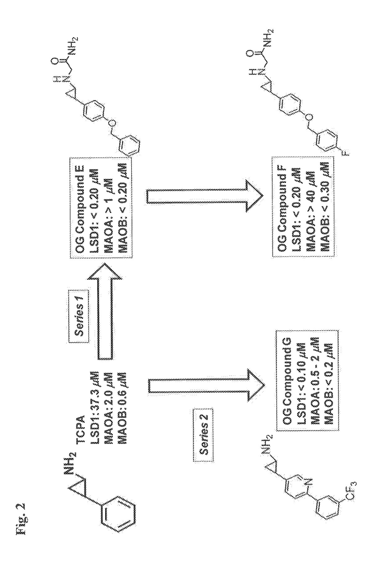 Lysine demethylase inhibitors for myeloproliferative or lymphoproliferative diseases or disorders