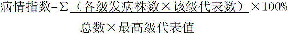 Bacillus subtilis and application thereof