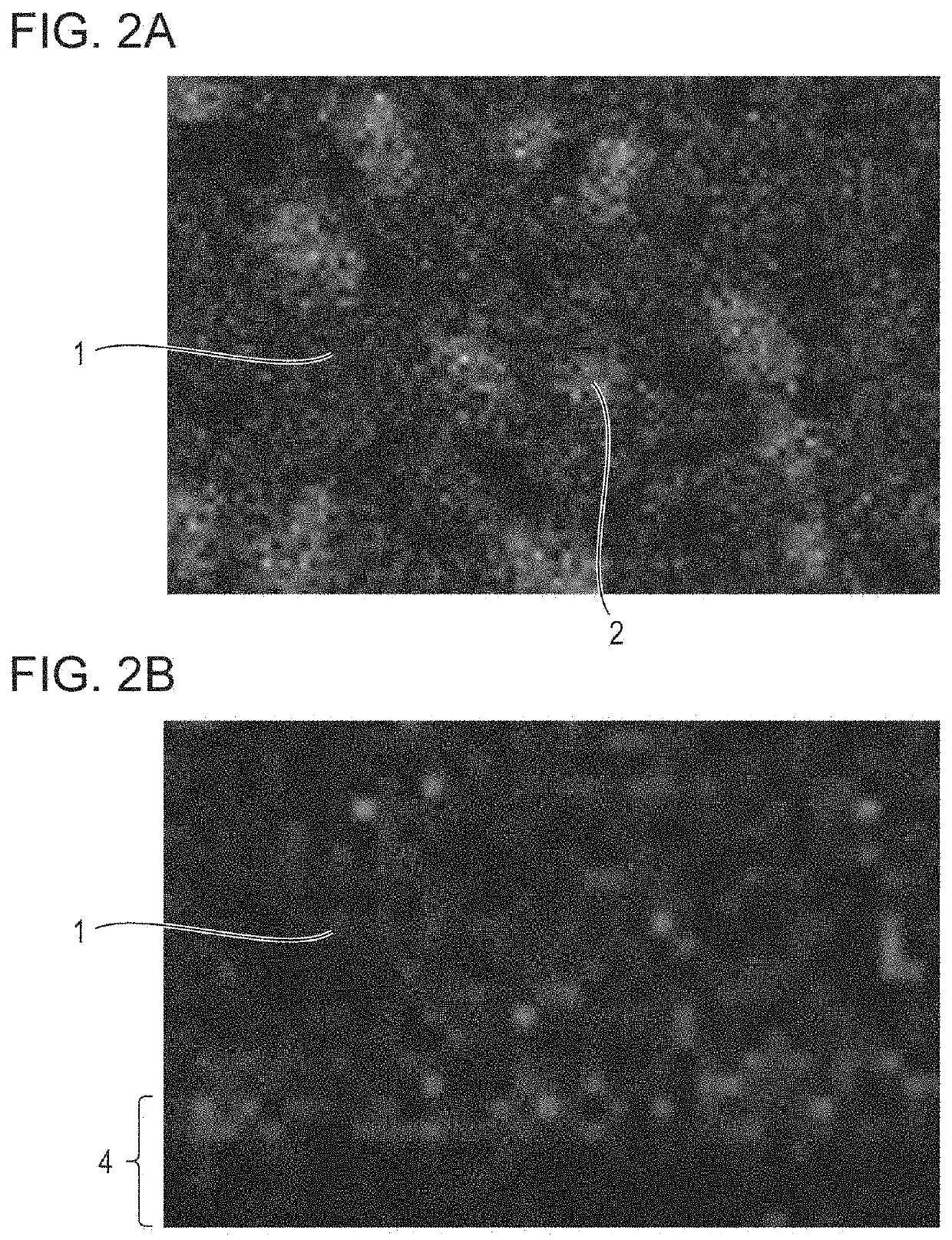 Scintillator plate, method for manufacturing scintillator plate, and radiation detection apparatus