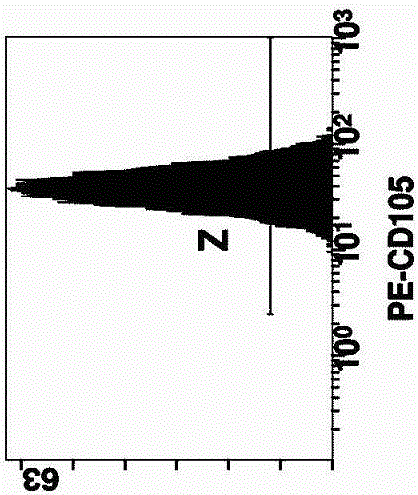 Method for culturing autologous umbilical cord mesenchymal stem cells with platelet-rich lysate from human umbilical cord blood