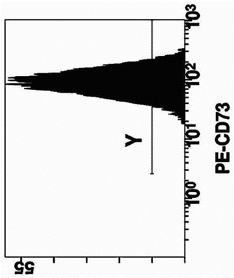 Method for culturing autologous umbilical cord mesenchymal stem cells with platelet-rich lysate from human umbilical cord blood