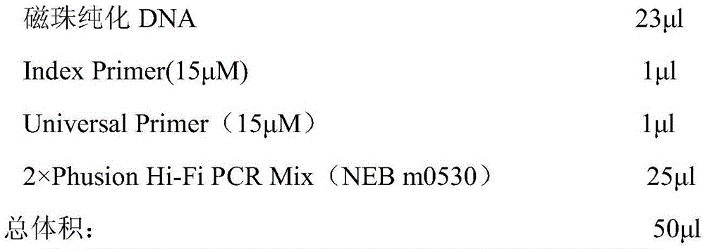 Space transcriptome database building and sequencing method and device adopted for same