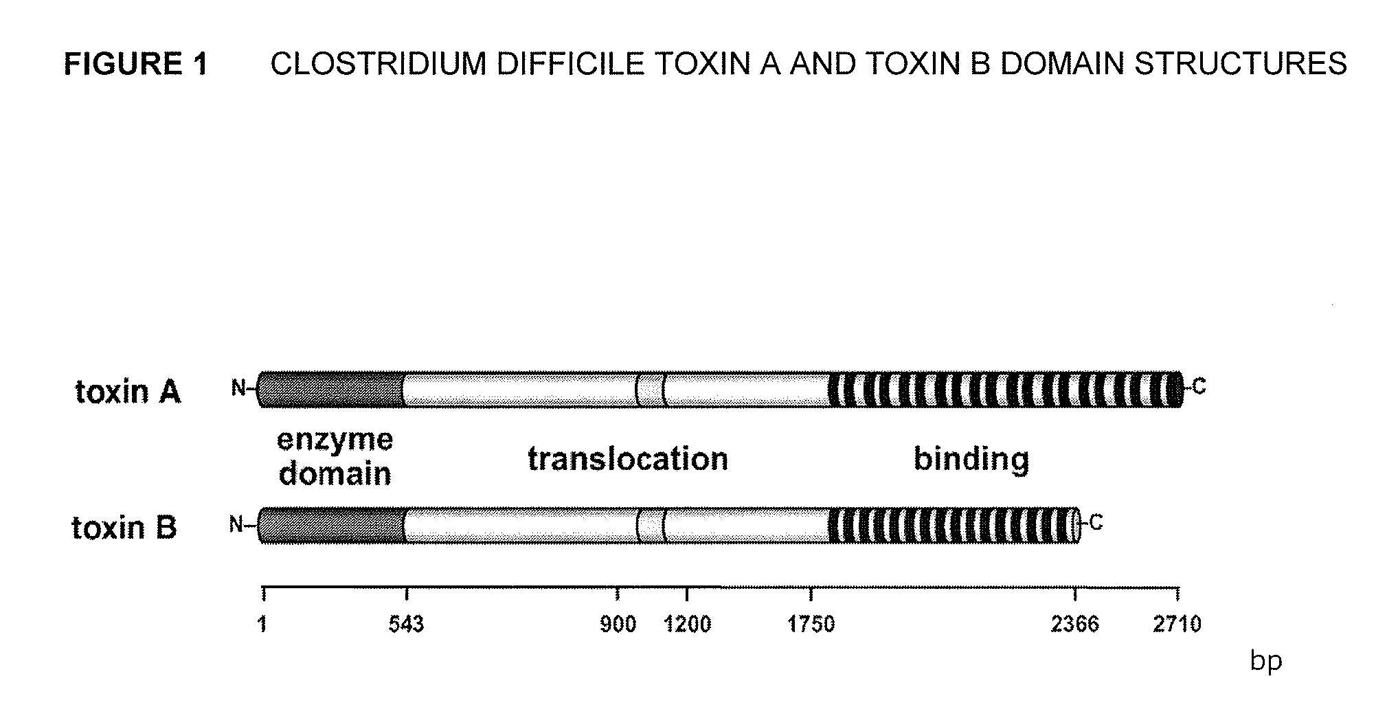 Vaccines against clostridium difficile and methods of use