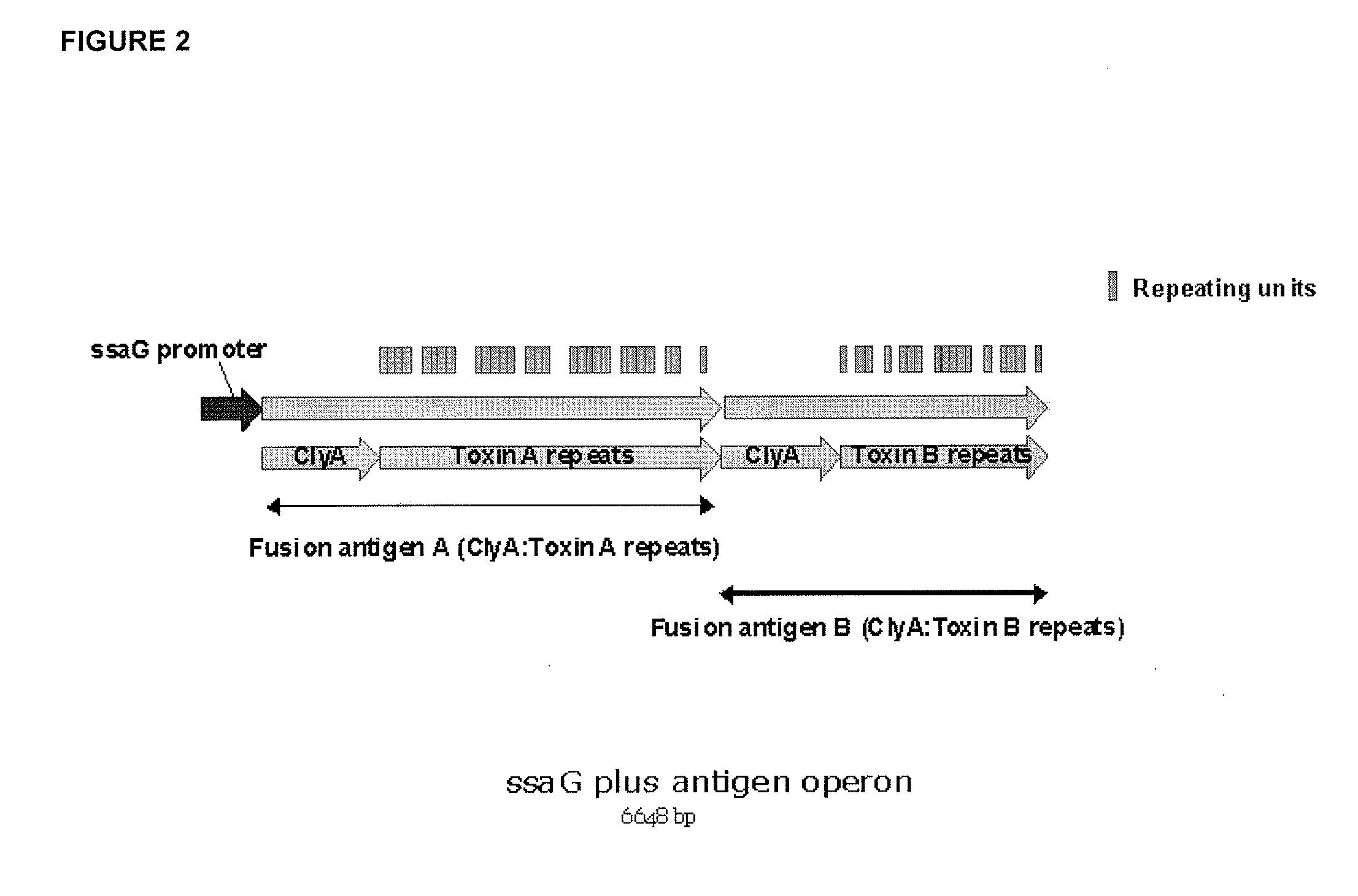 Vaccines against clostridium difficile and methods of use