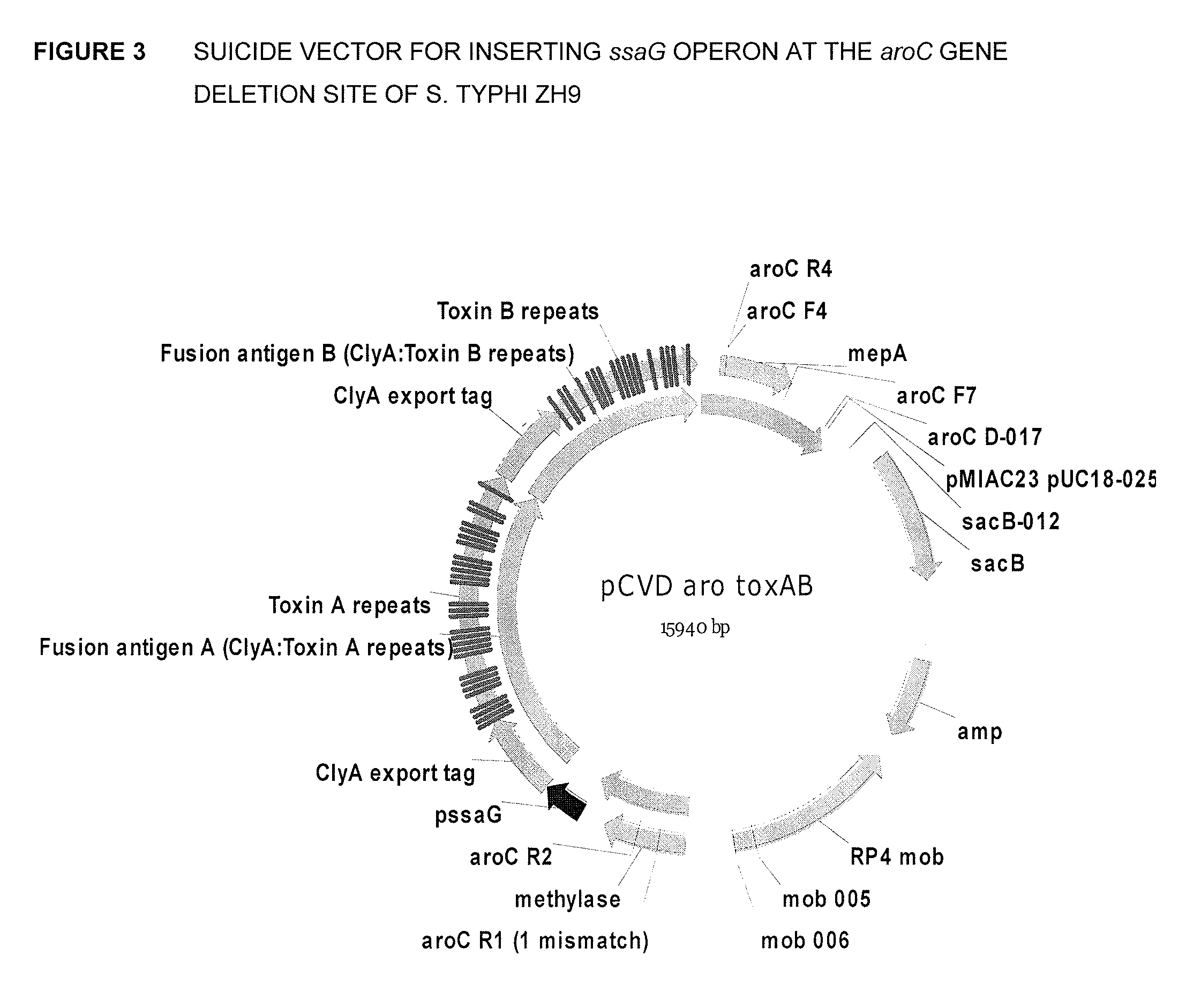 Vaccines against clostridium difficile and methods of use