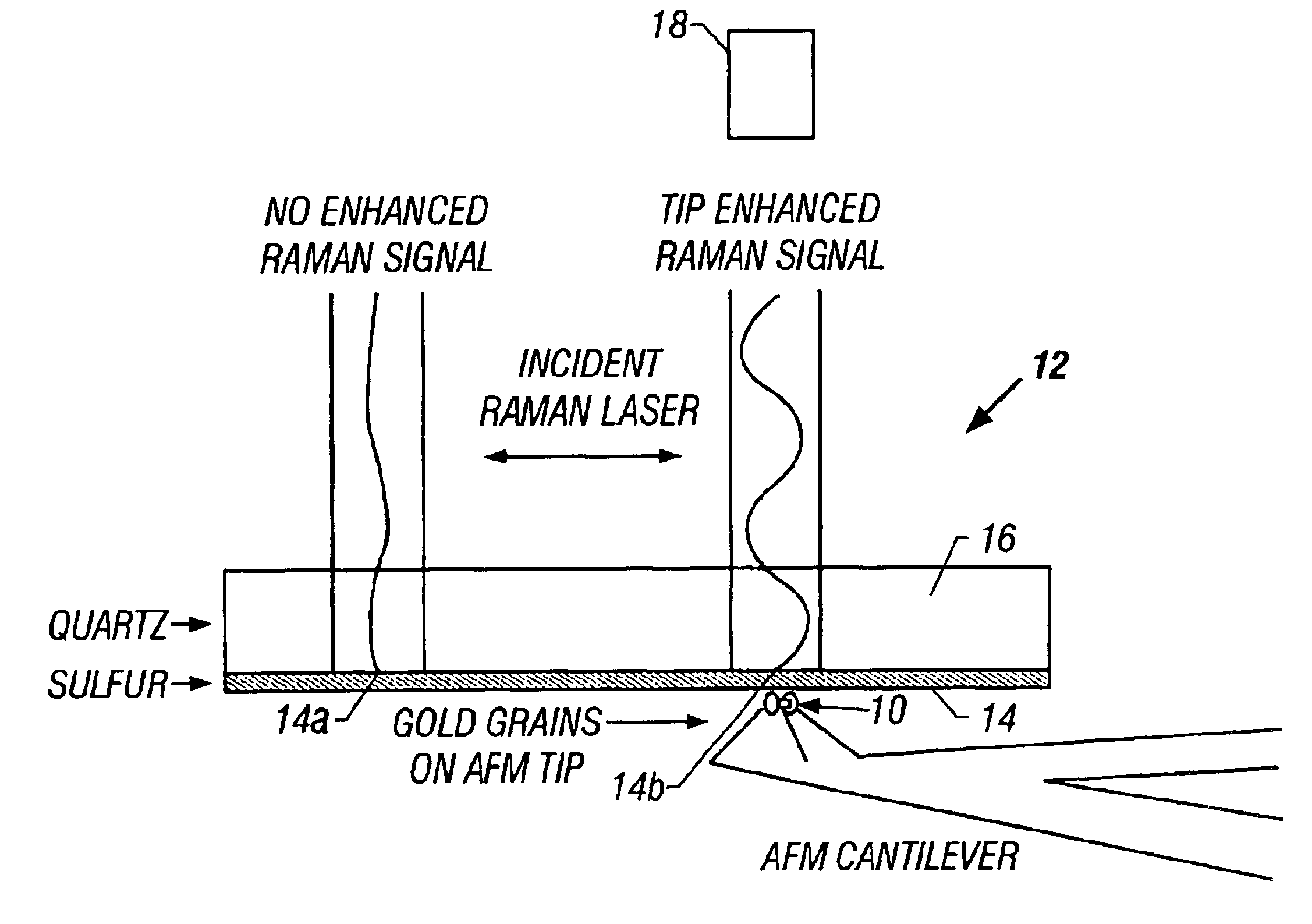 Locally enhanced raman spectroscopy with an atomic force microscope