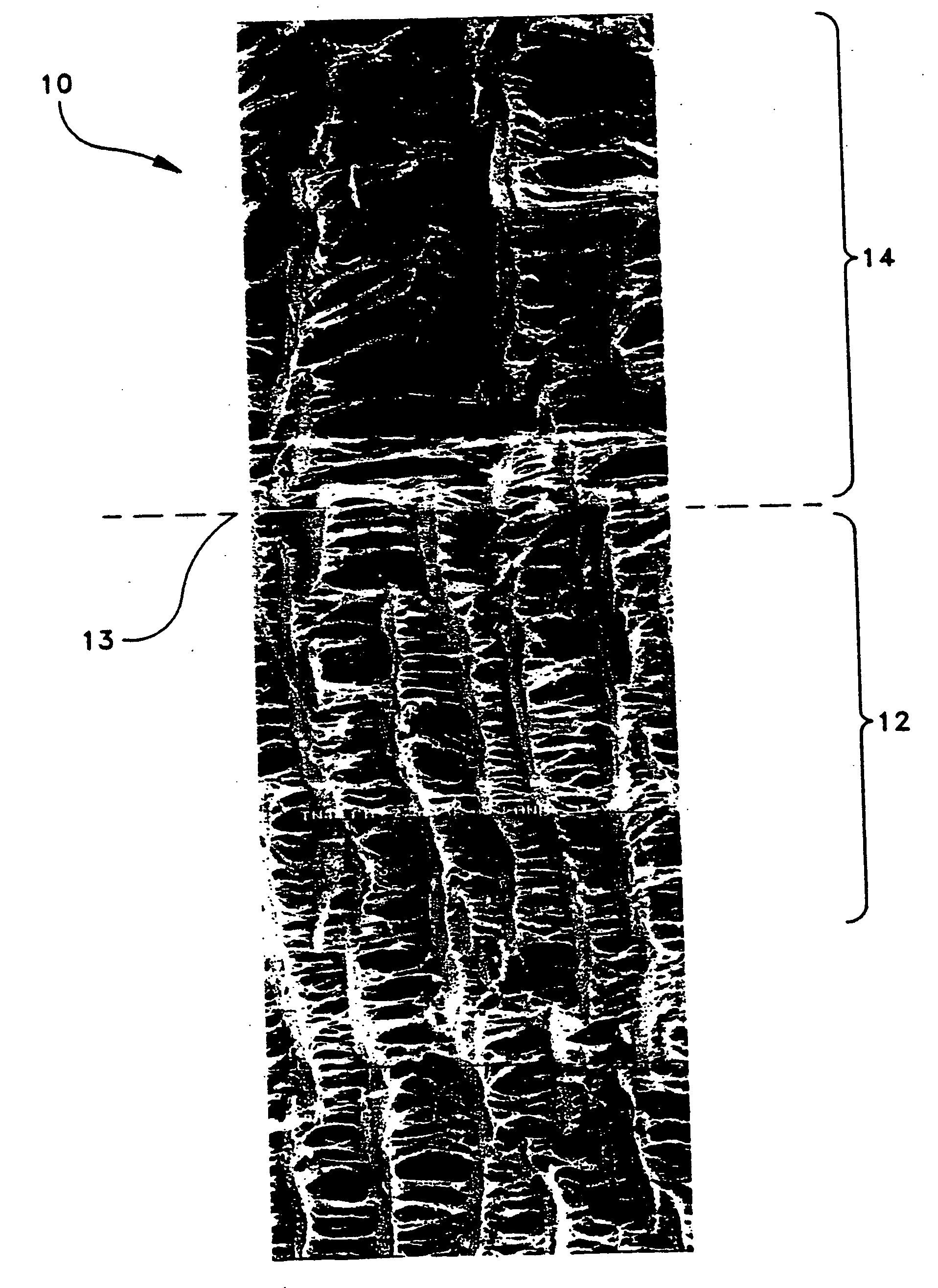 Self-sealing PTFE vascular graft and manufacturing methods