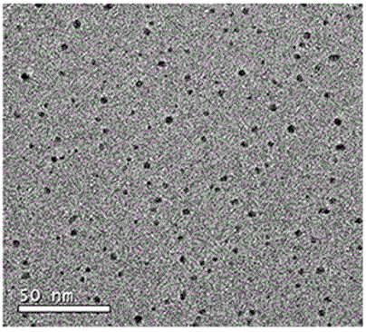 Yellow fluorescence carbon dots with high quantum yield and preparation method thereof