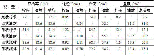 Dry desert zone sand binder planting method