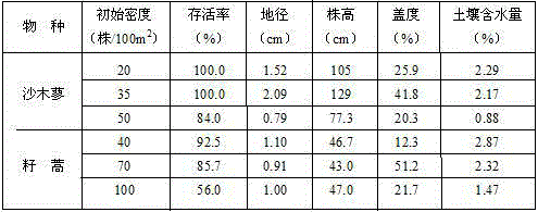 Dry desert zone sand binder planting method