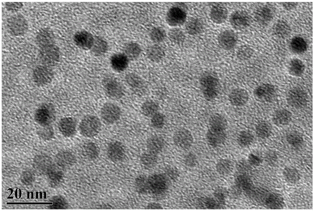 A fluorescent amino carbon quantum dot and its preparation method and application