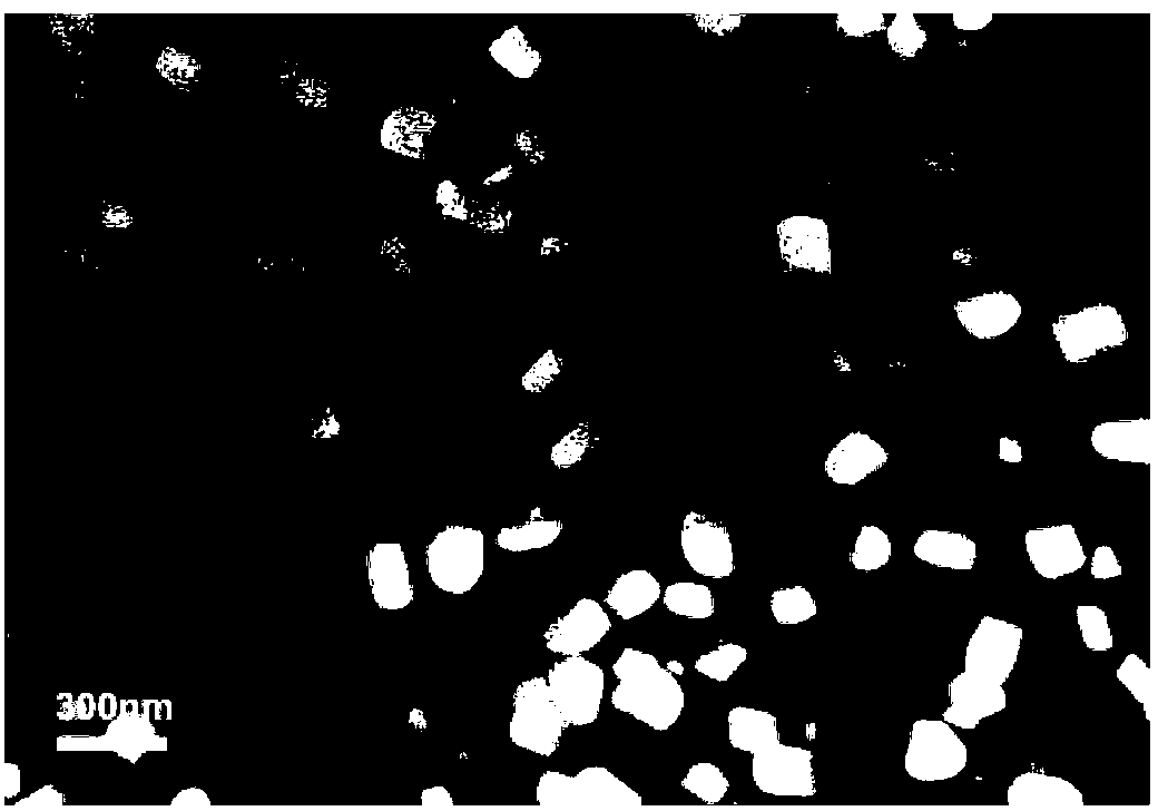 Method for preparing lignin nanoparticles by taking papermaking black liquid as raw material