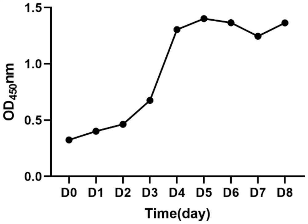 Method for obtaining mesenchymal stem cells from mouse gingival tissue