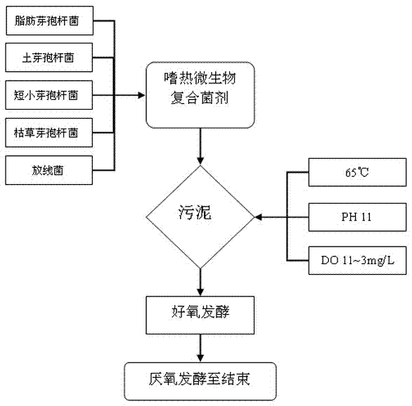 Thermophile complex inoculant and method thereof for degrading excess sludge