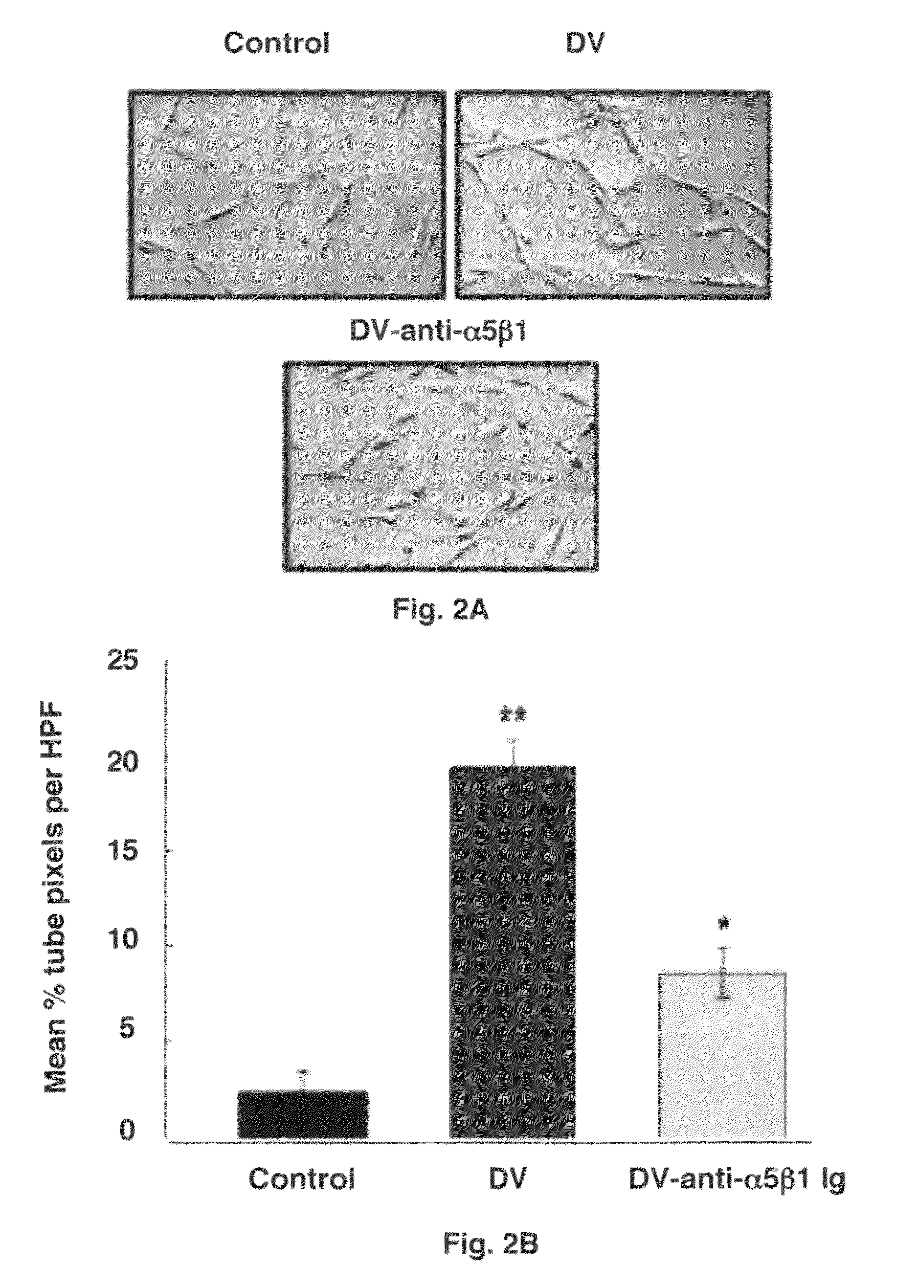 Treatment of stroke using domain V of perlecan