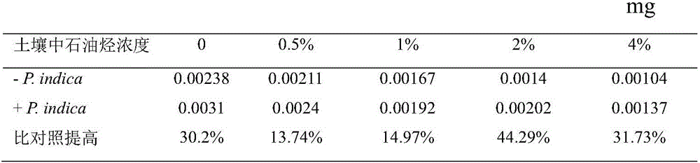 Method of using joint action of medicago sativa and piriformospora indica to restore petroleum-contaminated soil