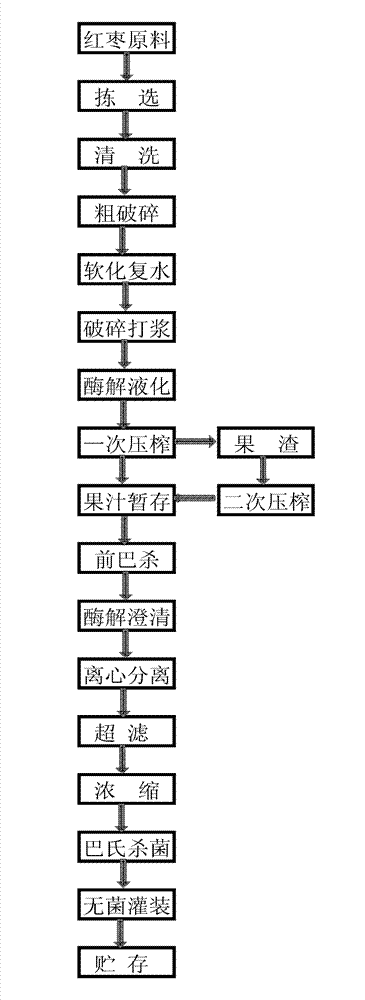 Method of preparing concentrated clear red jujube juice with high cAMP content