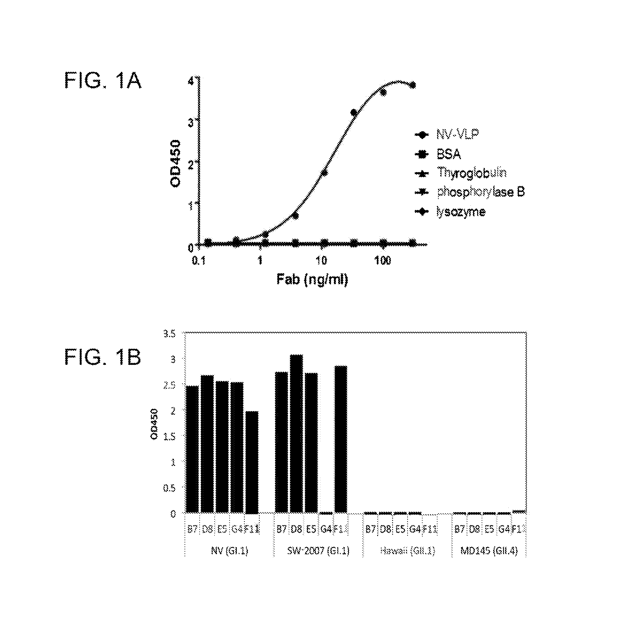 Monoclonal antibodies that neutralize a norovirus