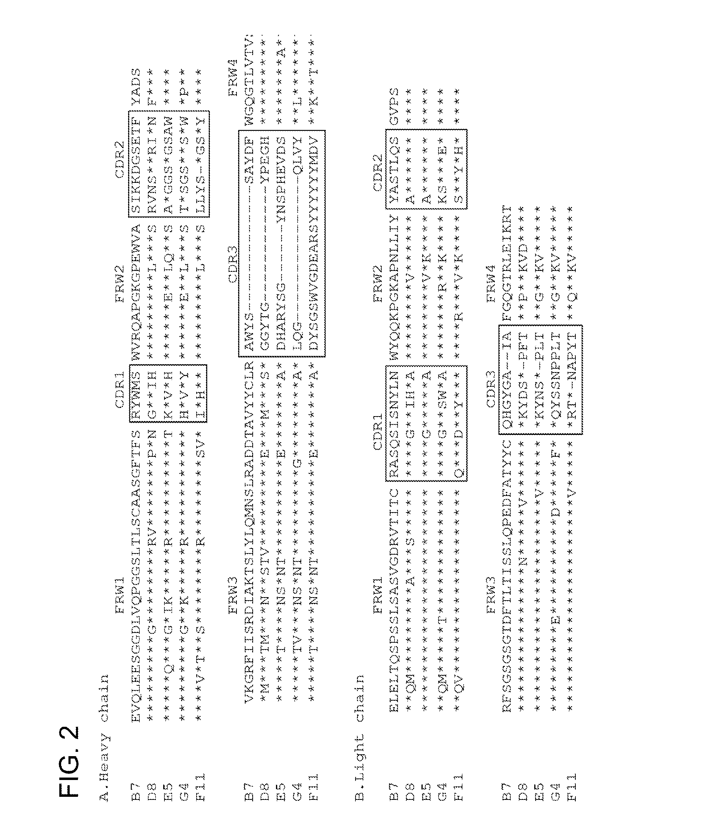 Monoclonal antibodies that neutralize a norovirus