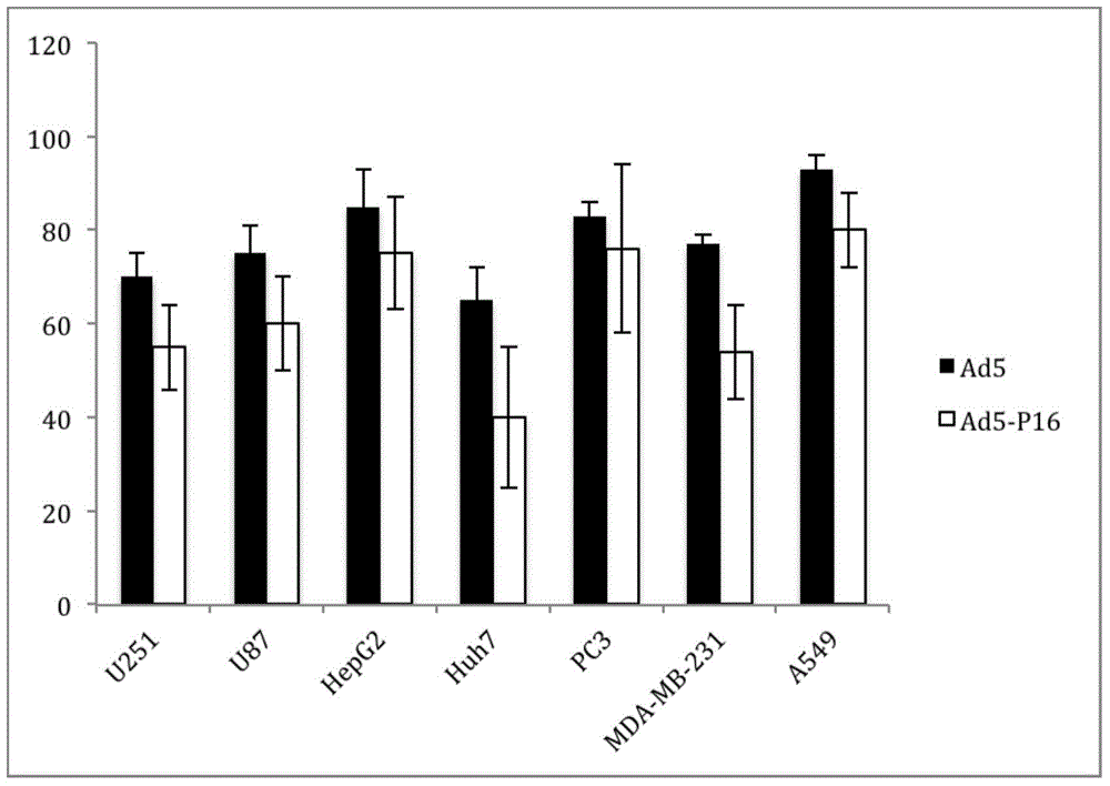 Recombinant oncolytic adenovirus Ad5-P16 with tumor tissue targeting and cancer suppressor gene repairing properties and application thereof