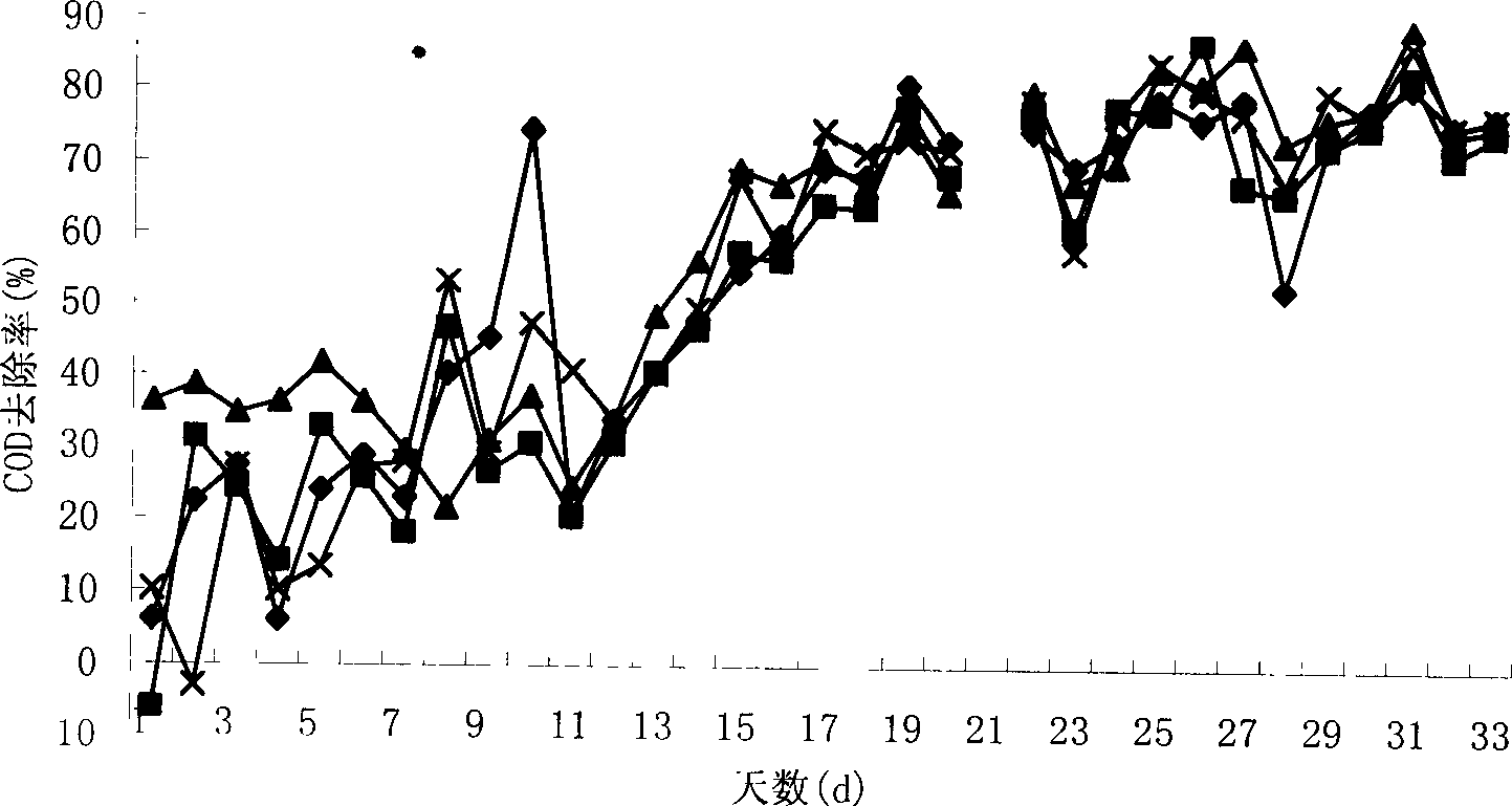 Filtering material made from waste mud and its prodn. method