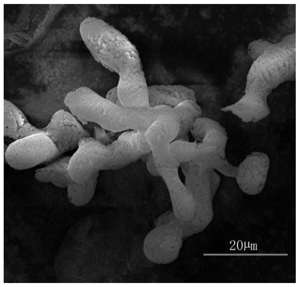 A kind of preparation method of ammonium fluorotitanate and ammonium fluorotitanate