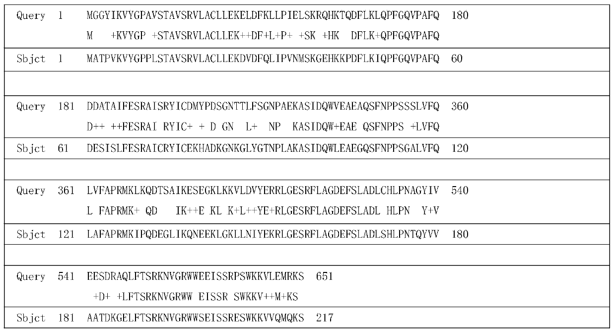 Tulip glutathione S-transferase TfGST protein and encoding gene thereof