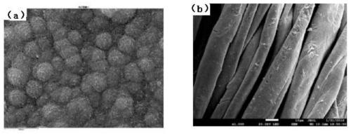 A kind of preparation method and application of nickel cloth current collector