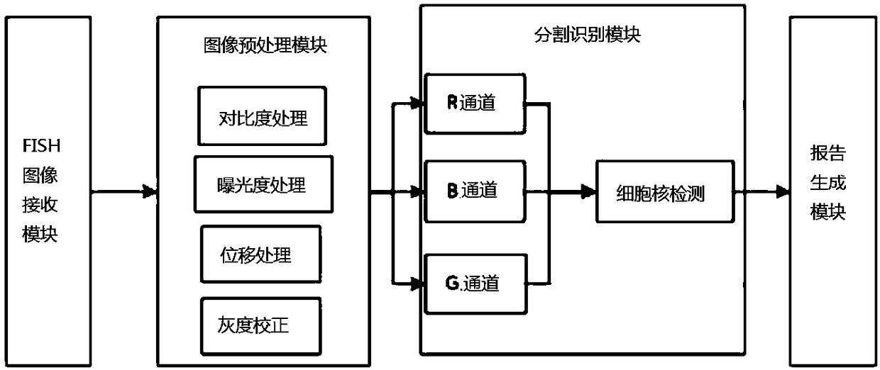 Cell nucleus segmentation method and system for fluorescence in situ hybridization images