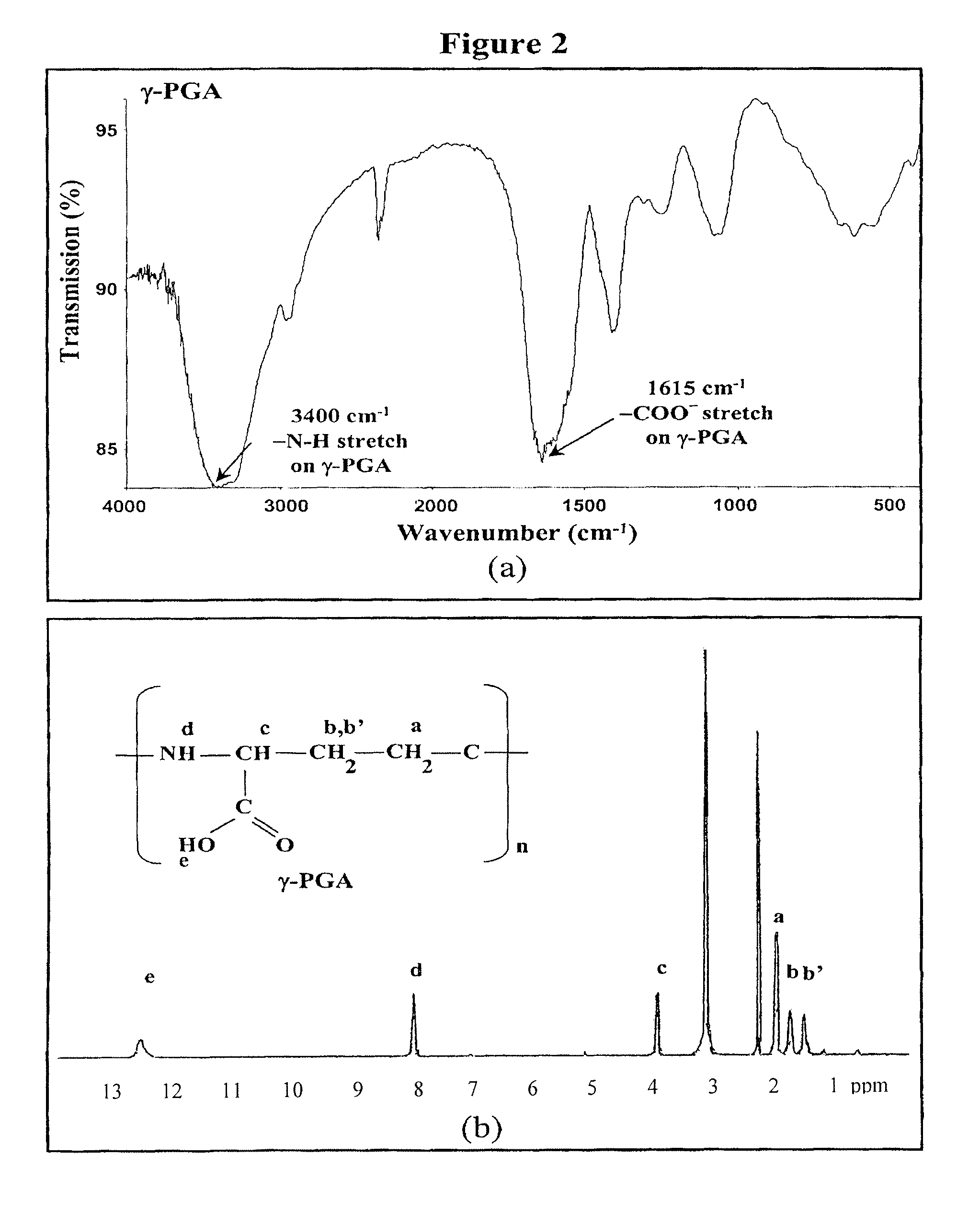 Pharmaceutical composition of nanoparticles