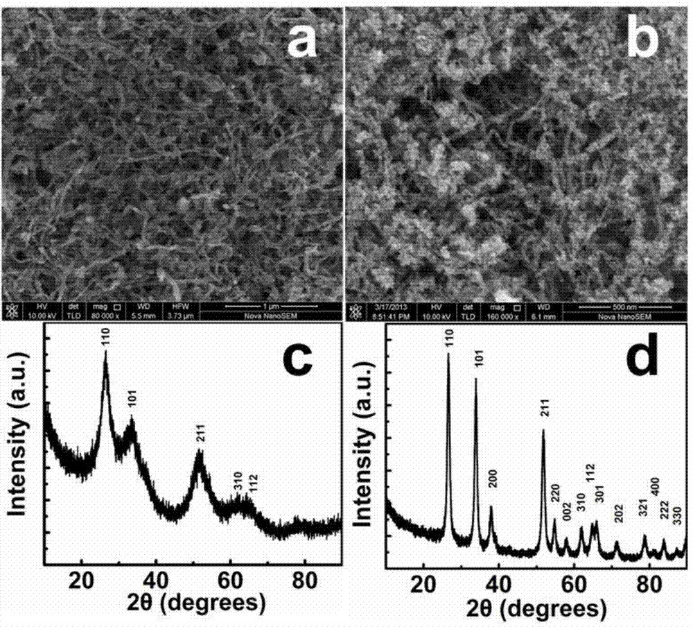 Photoelectric logic door based on stannic oxide nano-particles and preparation method thereof