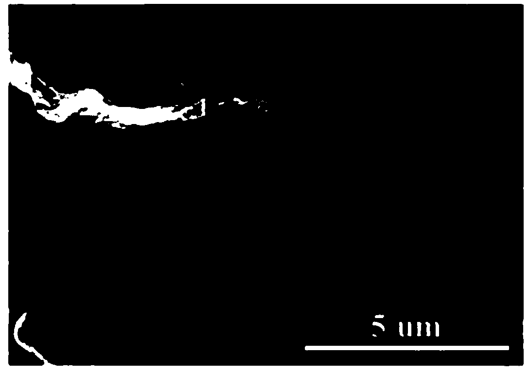 Salvia splendens petal-based porous graphene-like carbon nanosheets as well as preparation method and application thereof