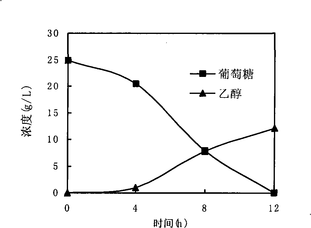 In situ detoxication alcohol fermentation method of ligno-cellulose hydrolysate using single culture