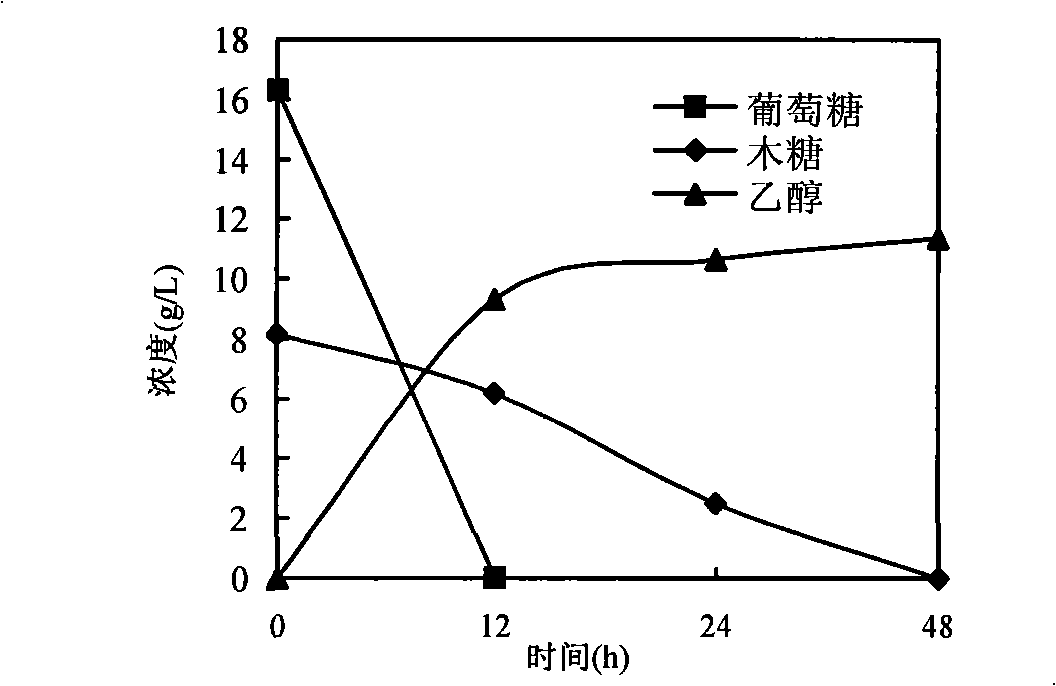 In situ detoxication alcohol fermentation method of ligno-cellulose hydrolysate using single culture