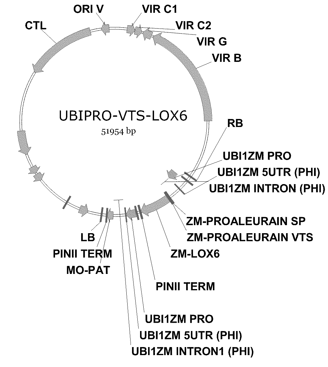 Methods For Improving Plant Growth