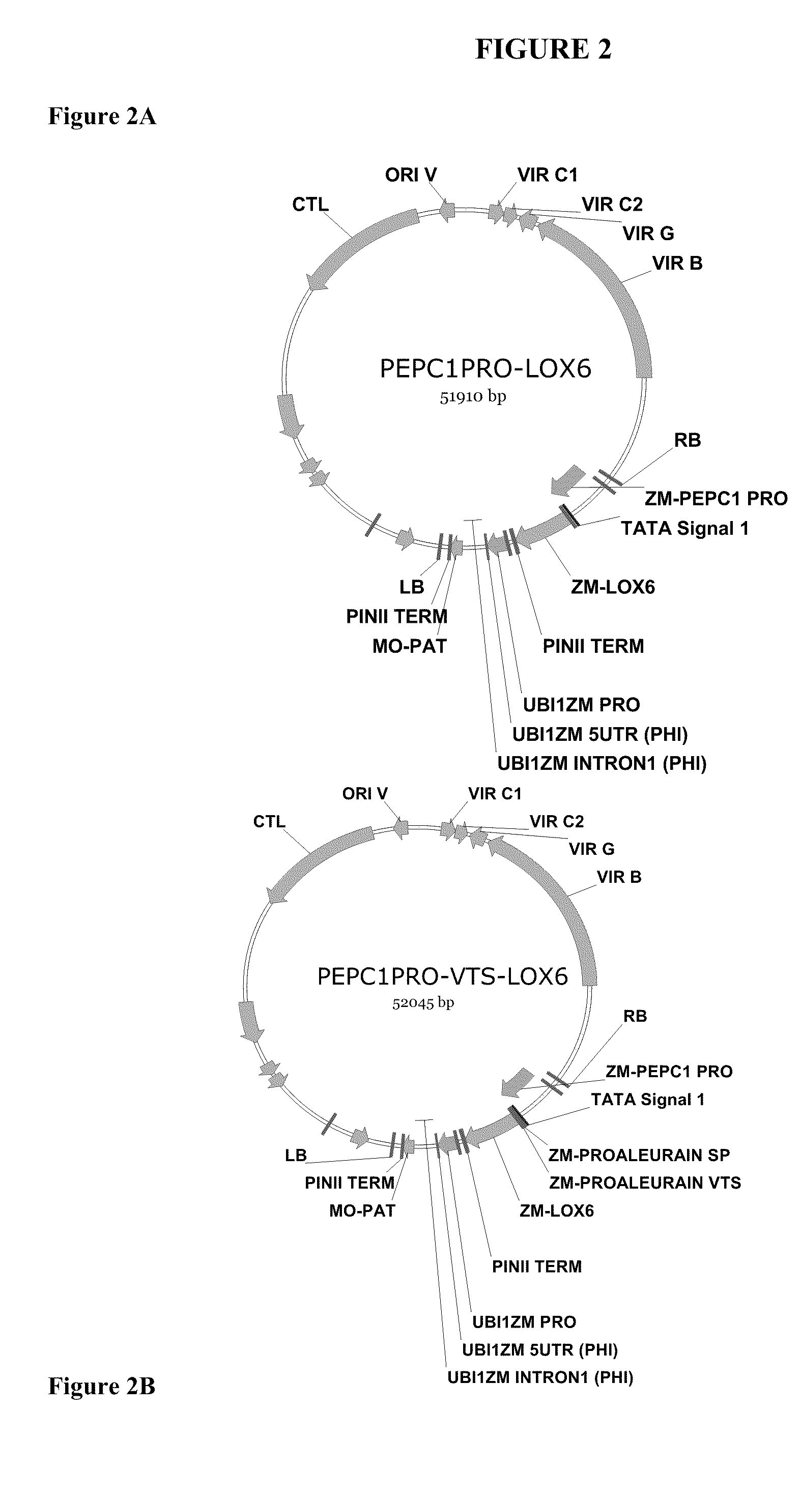 Methods For Improving Plant Growth