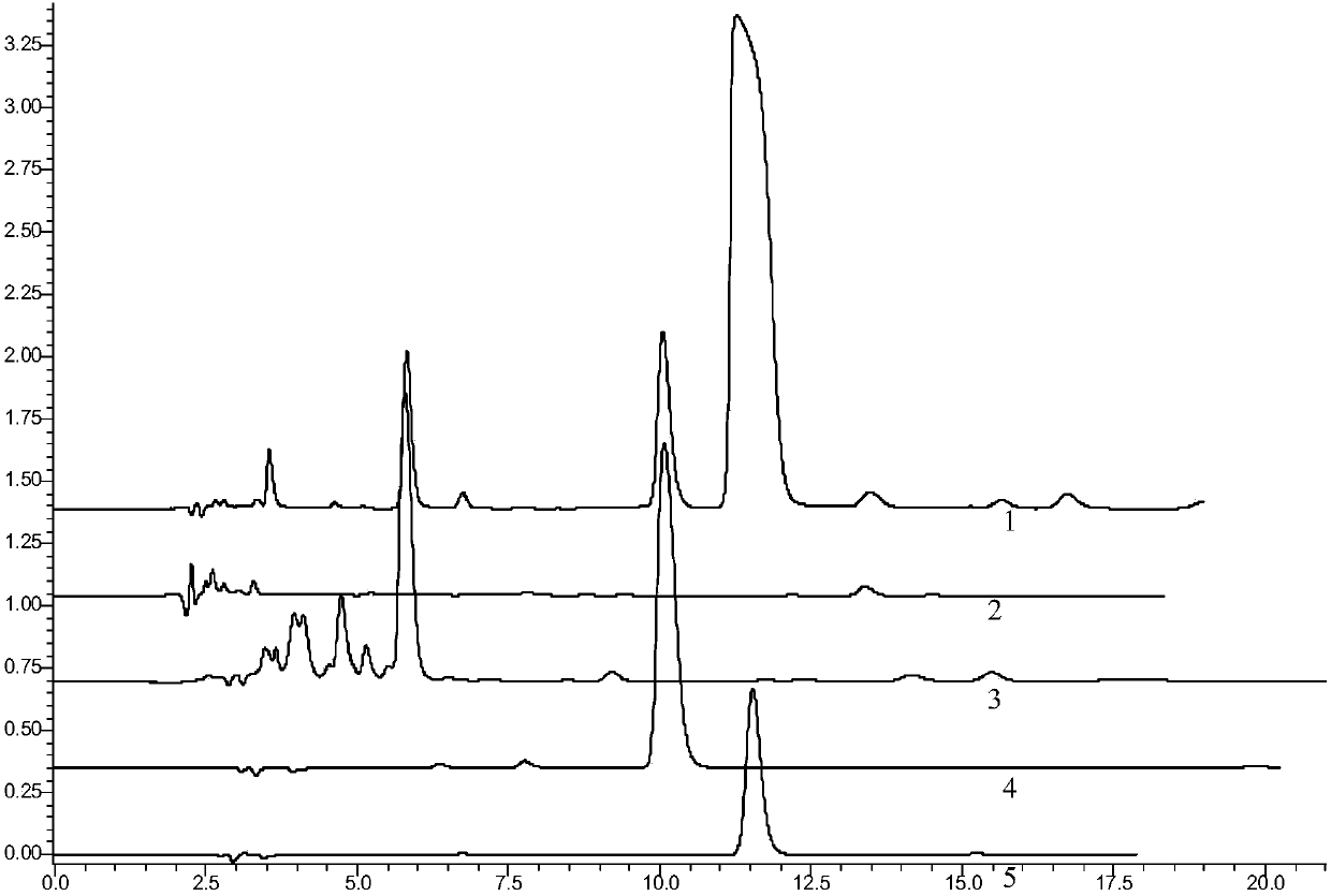 Method for extracting rhodioside in purification fermentation liquid by using macroporous absorbent resin