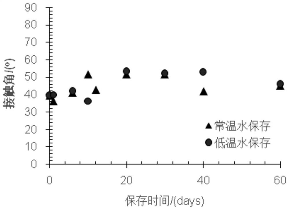 Hydrophilic polyethylene microporous membrane and preparation method thereof