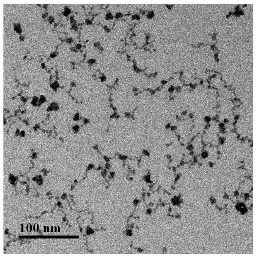 Composite nano vaccine for tumor treatment and preparation method thereof