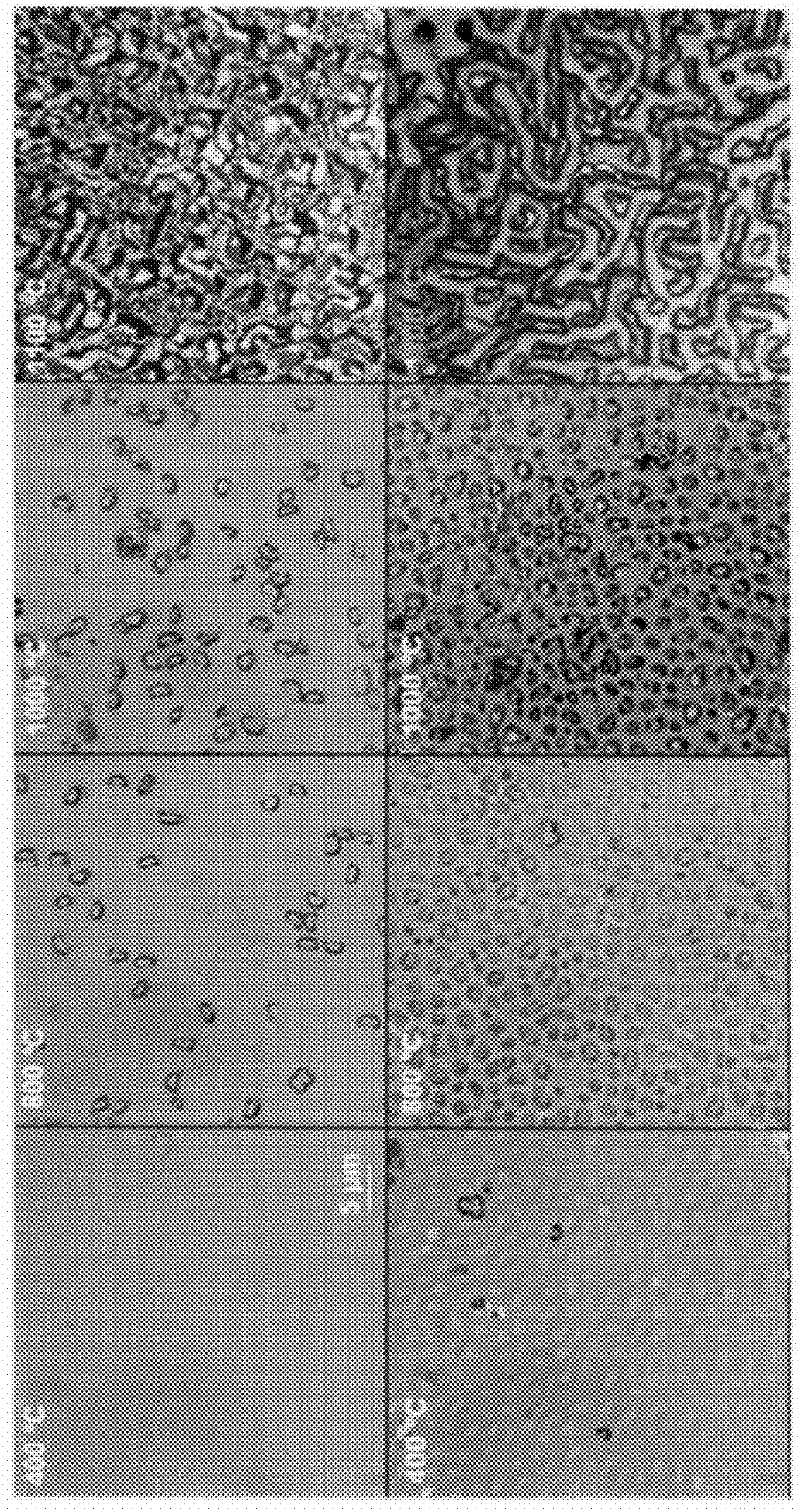 Fabrication of surface textures by ion implantation for antireflection of silicon crystals