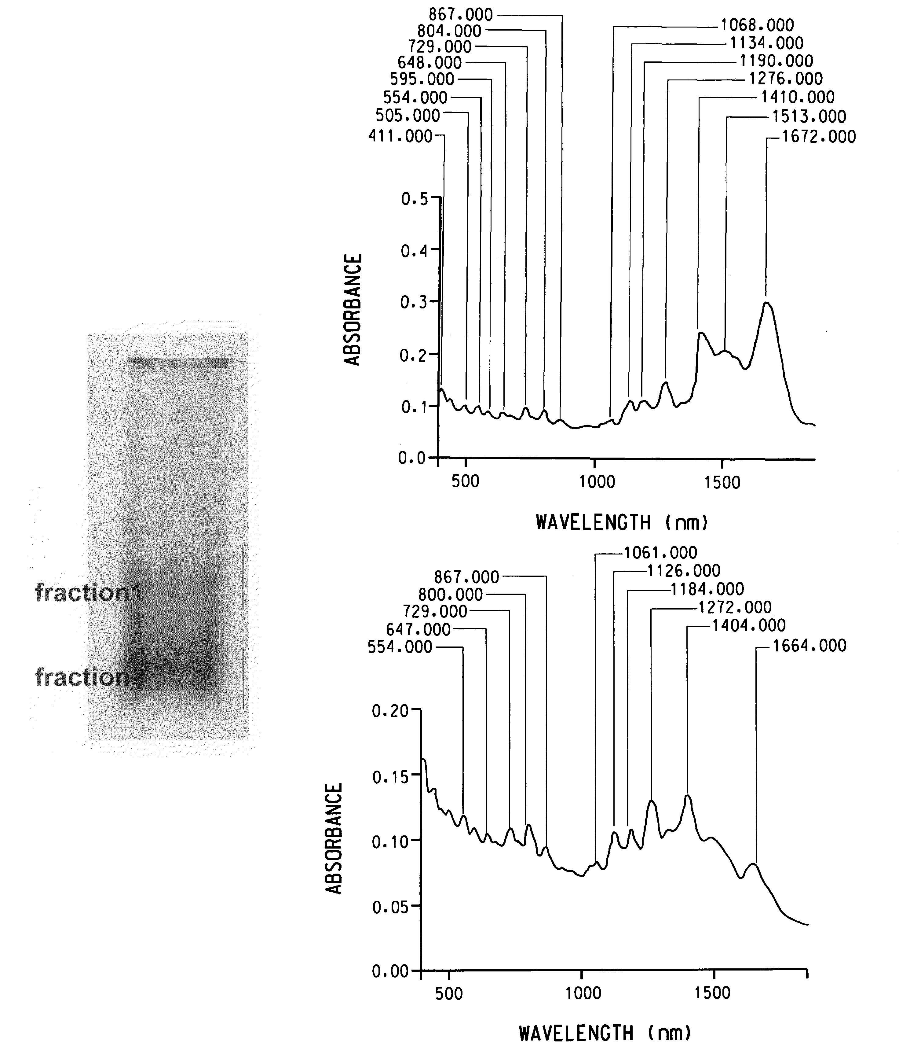 Dispersion of carbon nanotubes by nucleic acids