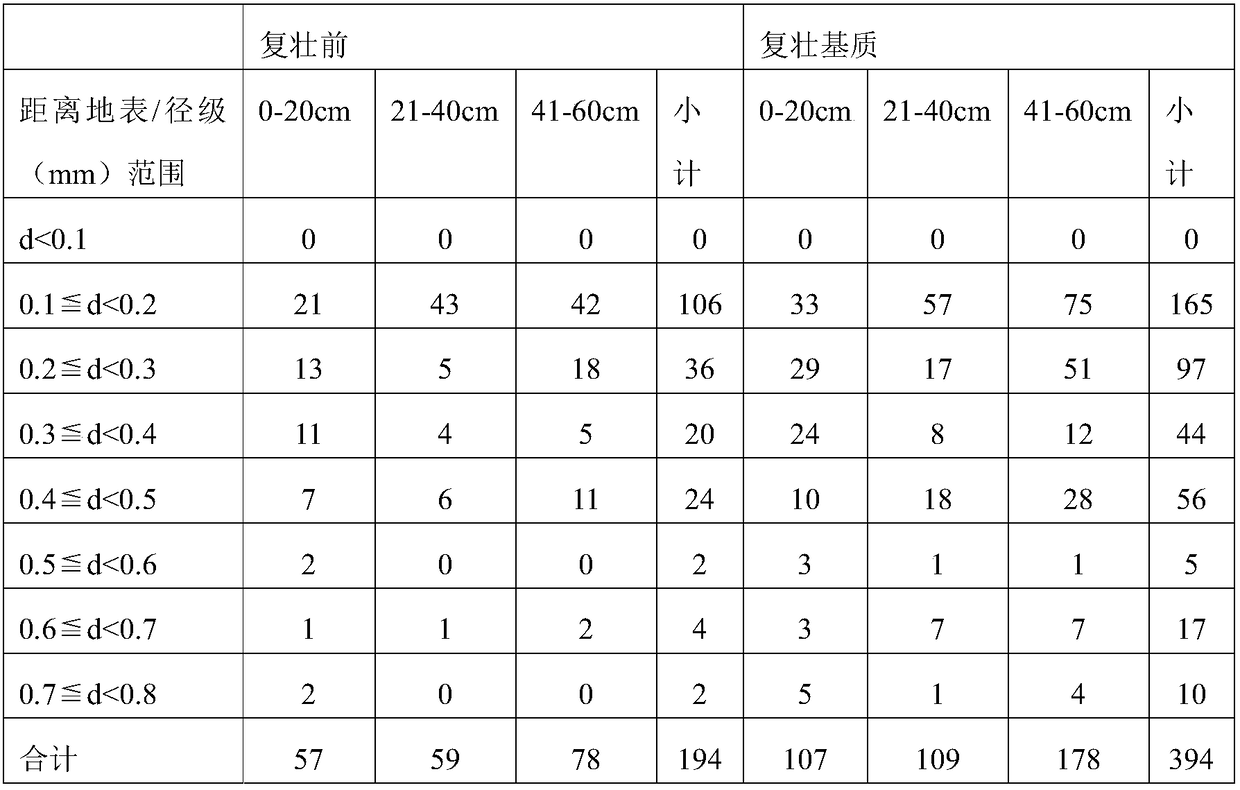 Rejuvenating matrix-based fertilizer special for metasequoia glyptostroboides and application thereof