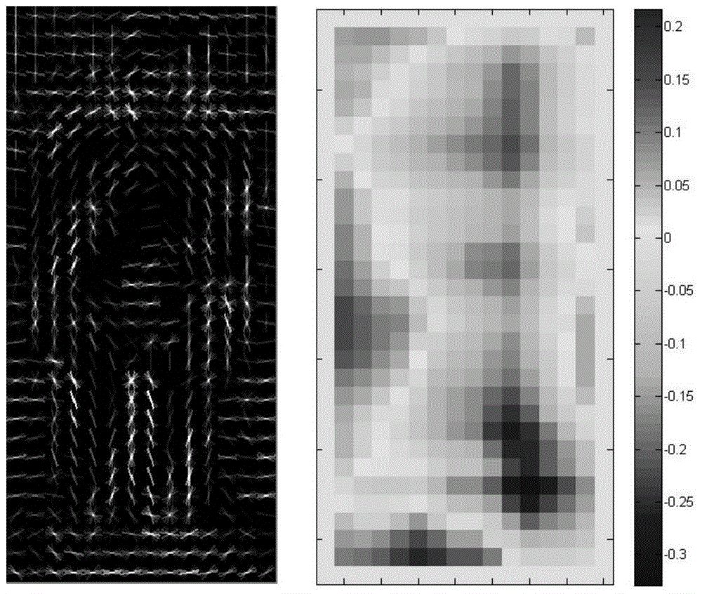 A human detection method based on sample transfer learning