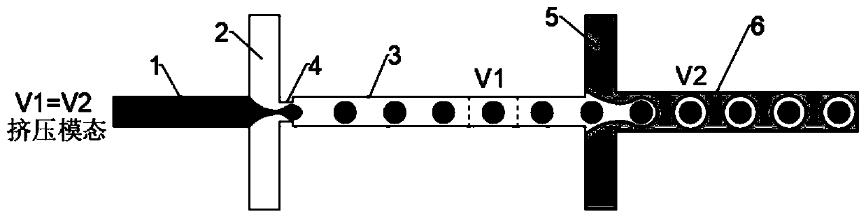 Micro-droplet preparation chip for detecting intestinal microorganisms