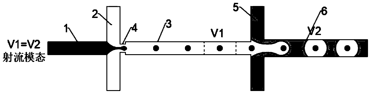 Micro-droplet preparation chip for detecting intestinal microorganisms