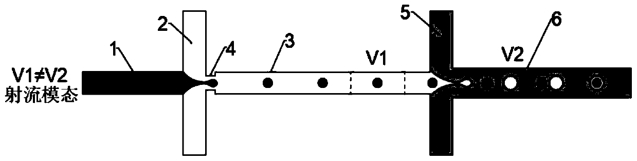 Micro-droplet preparation chip for detecting intestinal microorganisms