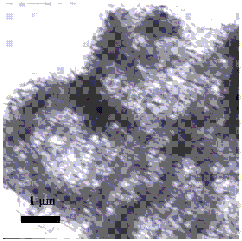 Template-free preparation method of hollow micro-spherical polymers with covalent organic frameworks (COFs)